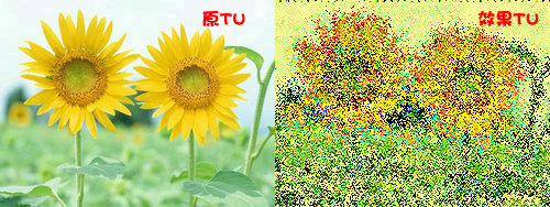 isee图片专家给向日葵调出印象派油画效果 全福编程网