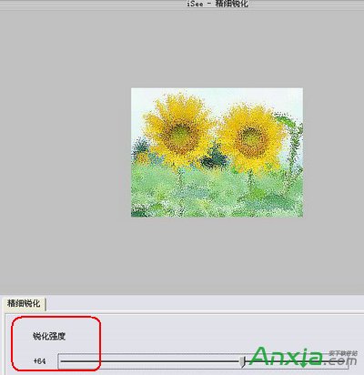 isee图片专家,isee图片专家给向日葵调出印象派油画效果