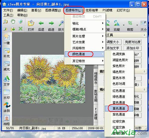 isee图片专家,isee图片专家给向日葵调出印象派油画效果
