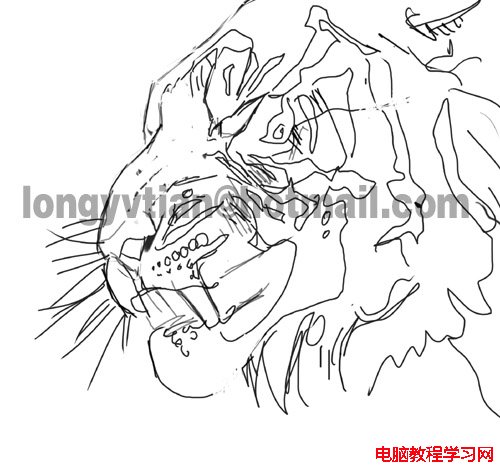 利用Painter绘制逼真老虎的过程和简介 全福编程网