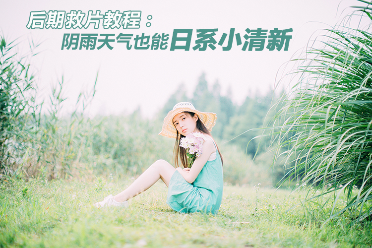 查看该作品