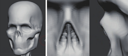 ZBrush头部骨感雕刻实例教程 全福编程网