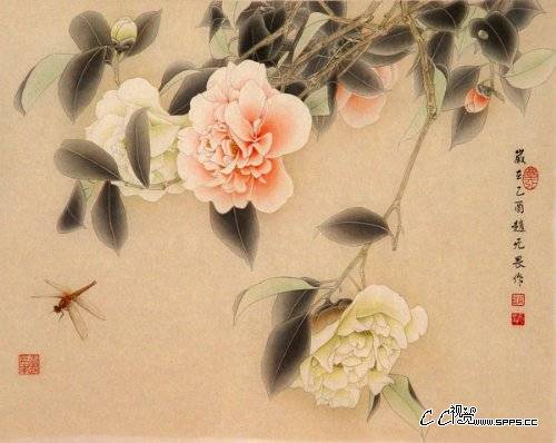 按此在新窗口浏览图片