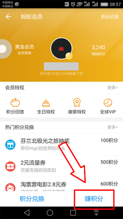 支付宝蚂蚁积分