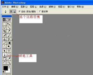 如何使用Photoshop给图片加上水印 全福编程网