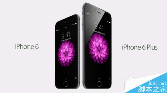 抢iPhone6能挣多少钱? 比工资高多了 黄牛香港抢iPhone6转手即赚8千