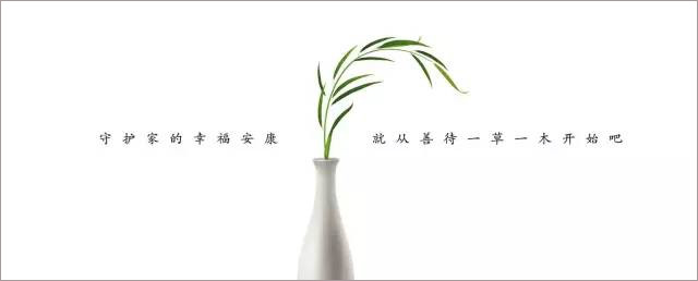 那些救了无数树木、动物性命的公益广告，原来长成这样……
