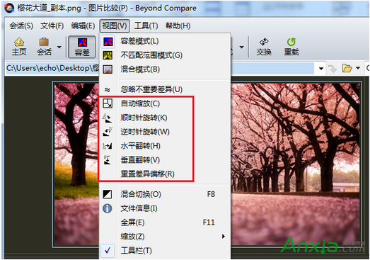 Beyond Compare如何快速进行图片对比 全福编程网