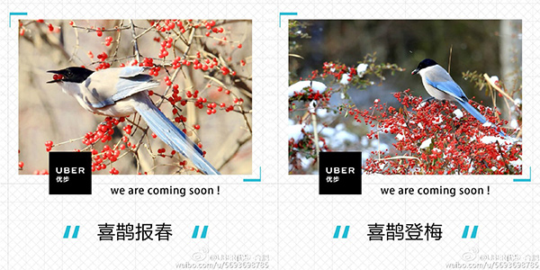 Uber合肥微博