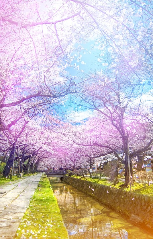 PS把风景照转为梦幻动画场景图 全福编程网