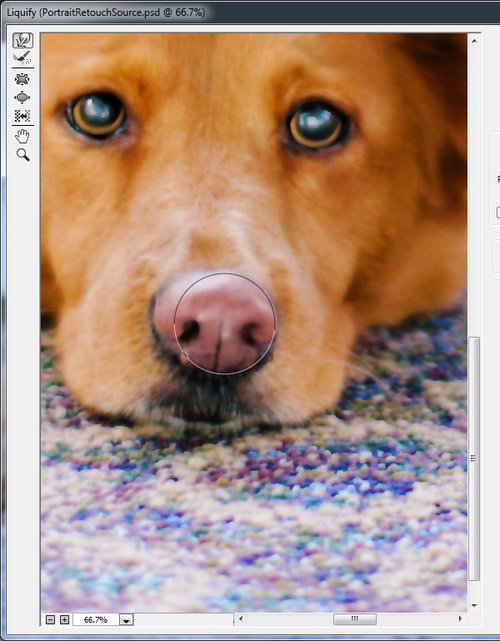 PS教程：Photoshop创建手绘宠物肖像照