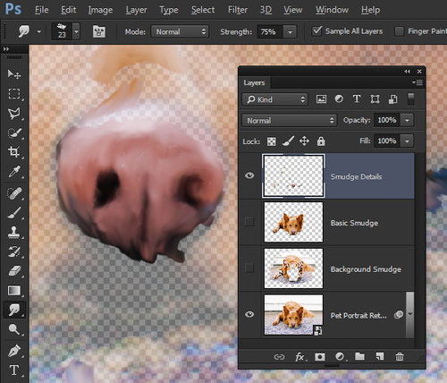 PS教程：Photoshop创建手绘宠物肖像照