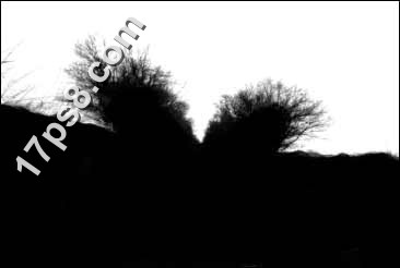 用photoshop合成死亡场景-骷髅与玫瑰